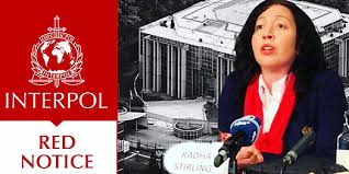 Understanding the Process of Interpol Red Notice Removal 1341342520 Understanding the Process of Interpol Red Notice Removal 1341342520